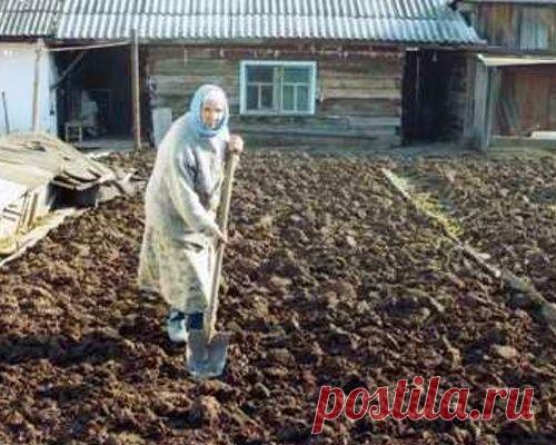 Любить по-русски: о смерти русской бабушки говорила вся Япония