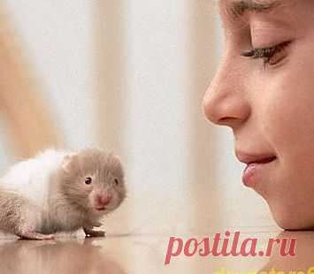 Как приручить свой страх?