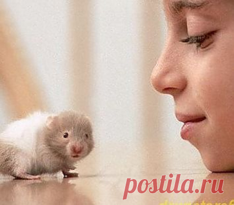 Как приручить свой страх?