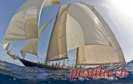 Sailing With Dreams