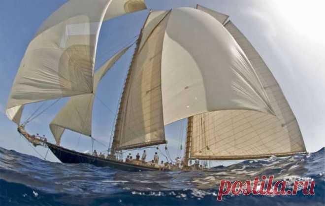 Sailing With Dreams