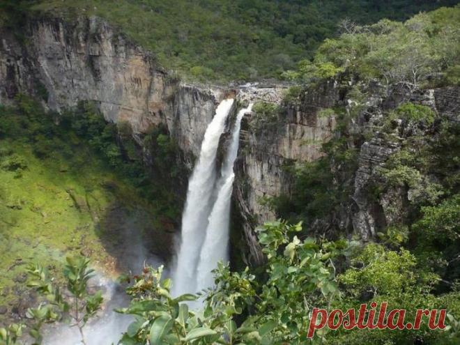 Национальный парк Эмас 

Леса Национального парка Эмас содержат флору и фауну, характерную самым старым и разнообразным тропическим экосистемам земли, являясь объектом Всемирного наследия ЮНЕСКО. Парк находится между штатами Гойас и Мату-Гросу в центрально-западной области Бразилии. Эма окружен множеством плантаций сои и другими сельскохозяйственными областями. Особое внимание заслуживает лес Чападу Душ Веадеирос, называнный в честь древнего плато и покрывающий область в 6...