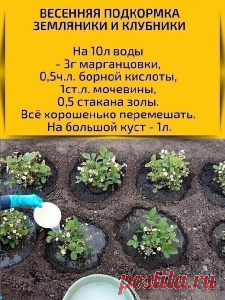 В копилку полезных советов для дачников