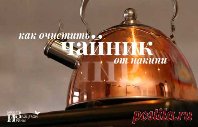 Как очистить чайник от накипи в домашних условиях быстро и эффективно | Блог Ирины Зайцевой