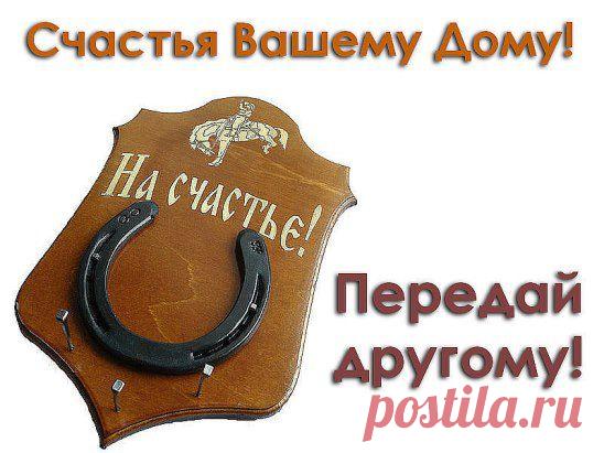 * * * * * * * * * * * *