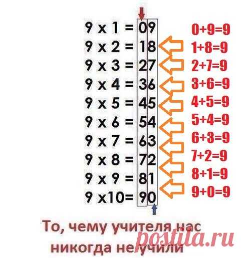 Дарья Крыпаева