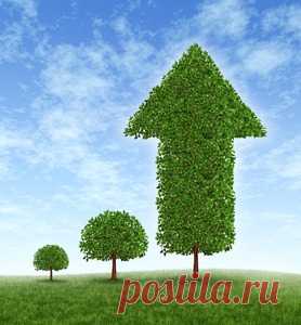 Новые рецепты от 16 марта