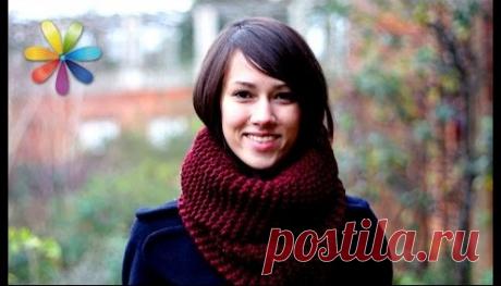 как быстро связать шарф спицами за 30 минут - 1 тыс. результатов. Поиск Mail.Ru