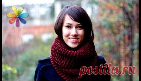 как быстро связать шарф спицами за 30 минут - 1 тыс. результатов. Поиск Mail.Ru