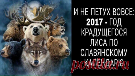 (33) Мой Мир@Mail.Ru
