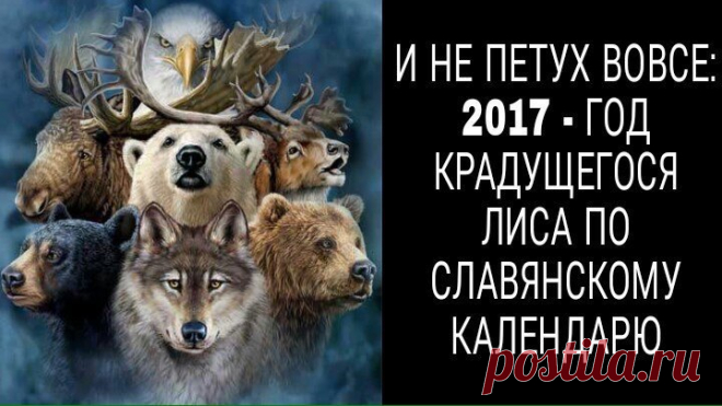 (33) Мой Мир@Mail.Ru