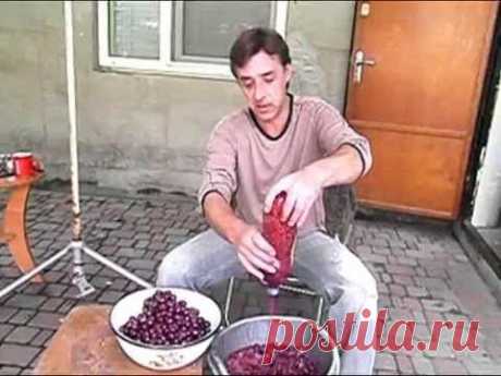 Вишневка, вишневое вино