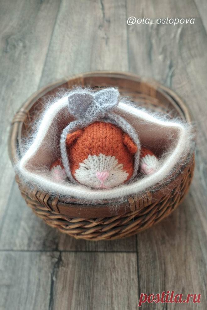 Kitty knitting pattern by ola oslopova
Схема вязания шотландского вислоухого котеночка

Правда же он булочка😼
А вам нравится?❤️

📏 Длина котеночка 18 см
🌸 Мастер класс 400руб

С любовью, @ola_oslopova
Не забудь подписаться 🌸