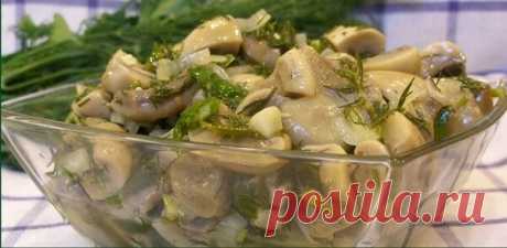 Как быстро засолить сыроежки. Вкуснейший гриб, просто вы его не так готовите! | Готовим сами! | Яндекс Дзен