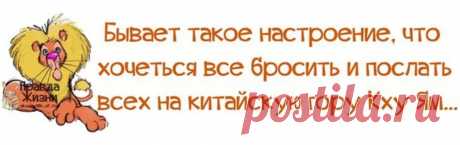 картинки для поднятия настроения девушке прикольные: 17 тыс изображений найдено в Яндекс.Картинках