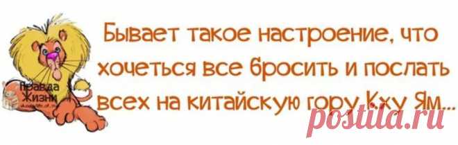 картинки для поднятия настроения девушке прикольные: 17 тыс изображений найдено в Яндекс.Картинках