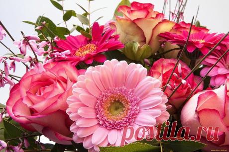 getImage (1024×682)