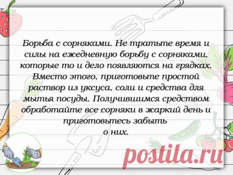 #совет