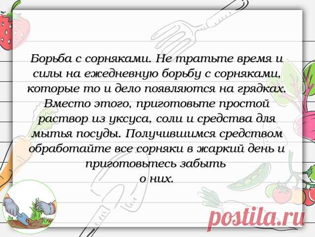 #совет