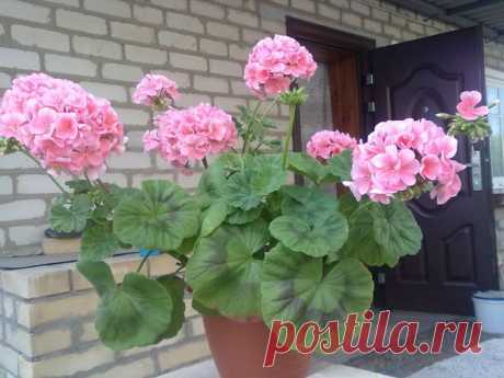 х х
6 лет, Украина, Лутугино
все её фото