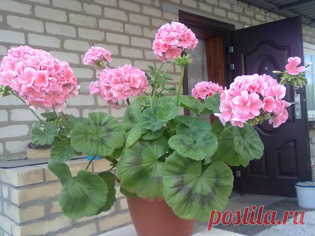 х х
6 лет, Украина, Лутугино
все её фото