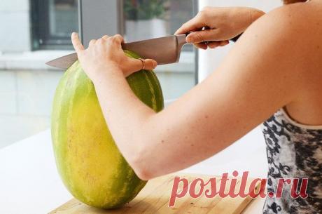 Просто добавь желатина(10 фото)