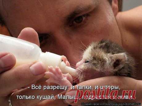Мой Мир@Mail.Ru