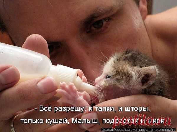Мой Мир@Mail.Ru