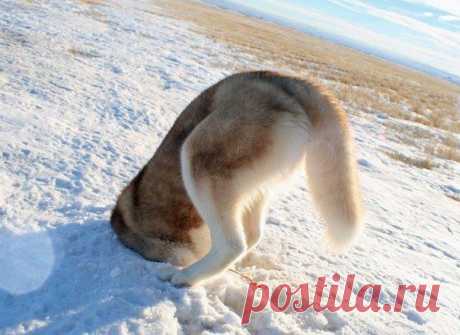 страшно!?