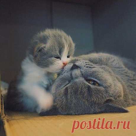 Интересные новости