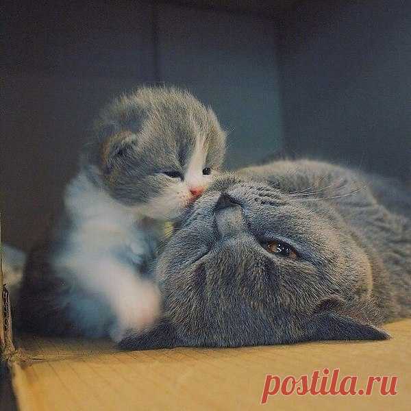 Интересные новости