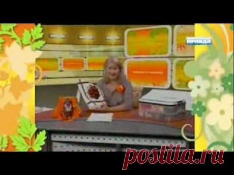 Шмель в глади