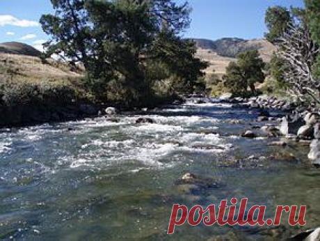 Петля Гарднера: как вязать, чтобы заполучить богатый улов - FB.ru