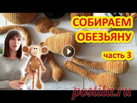 Вяжем Обезьянку амигуруми крючком. Часть 3 Сборка Часто спрашивают меня чтобы я записала отдельное видео как я собираю игрушки чтобы все было ровно и аккуратно. Поэтому на примере Обезьянки я вам и по...