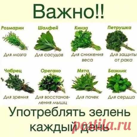 ЗНАЛИ КАК ЭТО ВАЖНО?