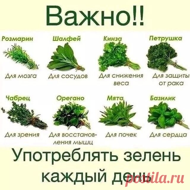ЗНАЛИ КАК ЭТО ВАЖНО?