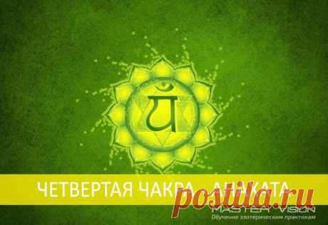 ЧЕТВЕРТАЯ ЧАКРА - АНАХАТА

Расположение чакры: параллельно сердцу, в центре тела.

Цвета: зеленый и розовый.

Дополнительный цвет: темно-красный, кармин.

Символ: круг, окаймленный 12 лепестками лотоса, внутри которого находится шестиконечная звезда с написанным на ней звуком «ям». Стебель чакры отходит от шестиконечной звезды. Другим символическим элементом, соответствующим этой чакре, является зеленовато-серый дым.

Ключевые слова: чувство, сострадание, мягкость, любовь,...