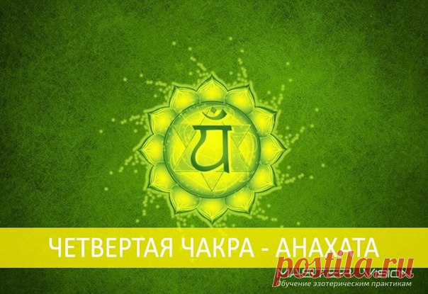 ЧЕТВЕРТАЯ ЧАКРА - АНАХАТА

Расположение чакры: параллельно сердцу, в центре тела.

Цвета: зеленый и розовый.

Дополнительный цвет: темно-красный, кармин.

Символ: круг, окаймленный 12 лепестками лотоса, внутри которого находится шестиконечная звезда с написанным на ней звуком «ям». Стебель чакры отходит от шестиконечной звезды. Другим символическим элементом, соответствующим этой чакре, является зеленовато-серый дым.

Ключевые слова: чувство, сострадание, мягкость, любовь,...