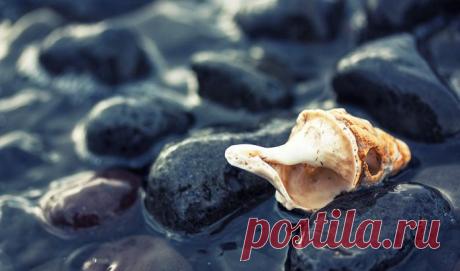 Притча о тайне рукописи – Фитнес для мозга