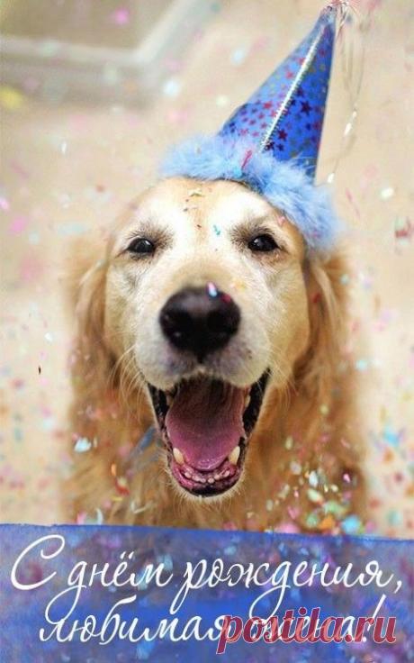 Моя милая, родная,
С днем рождения, дорогая!