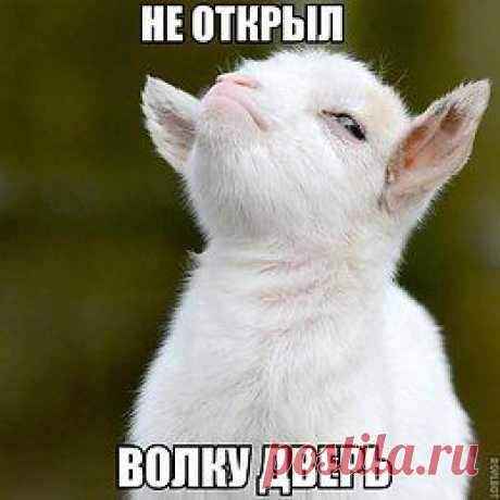 Бугагашенька