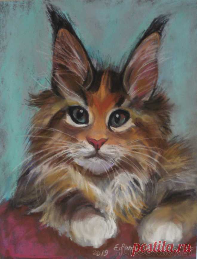 Картина Мейн-Кун. Размеры: 30x40, Год: 2019, Цена: 4000 рублей Художник Рипа Елена Моисеевна