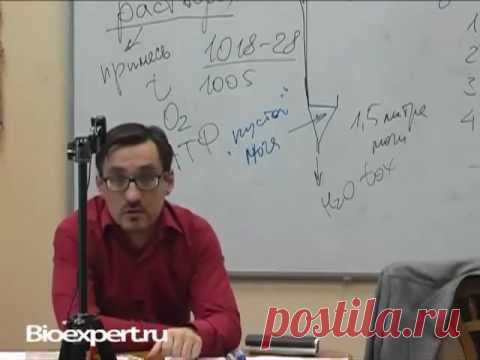 Диета при почечной колике, питание для уменьшения болей