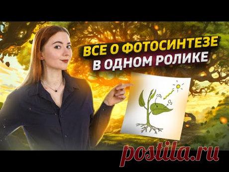 Фотосинтез: вся тема просто и понятно