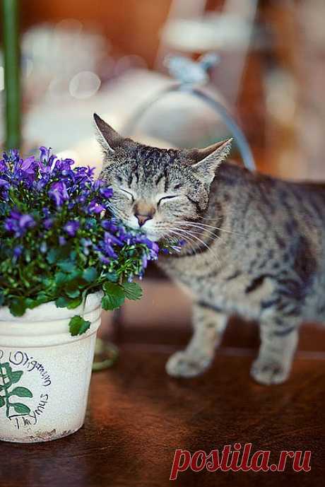 Sweet Friday | Flickr - Photo Sharing!