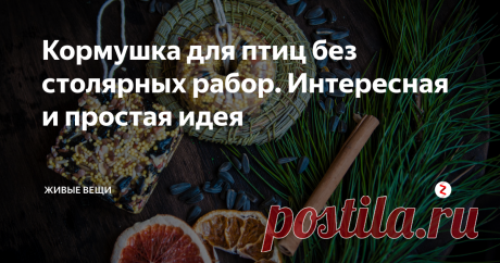Кормушка для птиц без столярных рабор. Интересная и простая идея | Живые вещи | Яндекс Дзен