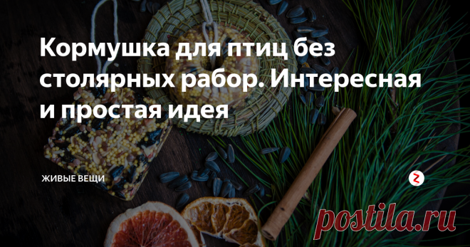 Кормушка для птиц без столярных рабор. Интересная и простая идея | Живые вещи | Яндекс Дзен