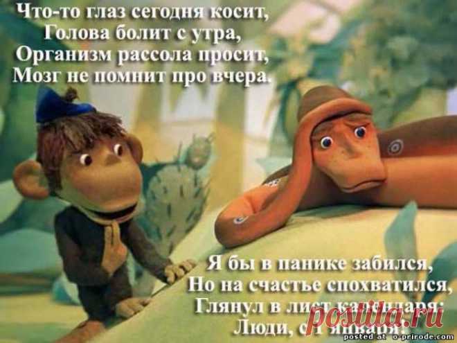 Открытки с новым годом - Картинки год змеи 2013 - Фото мир природы