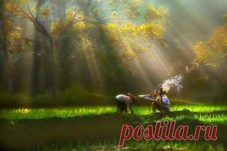 Фотограф Agah Permadi - 13 фото. Фотографии Ольга Дудина.