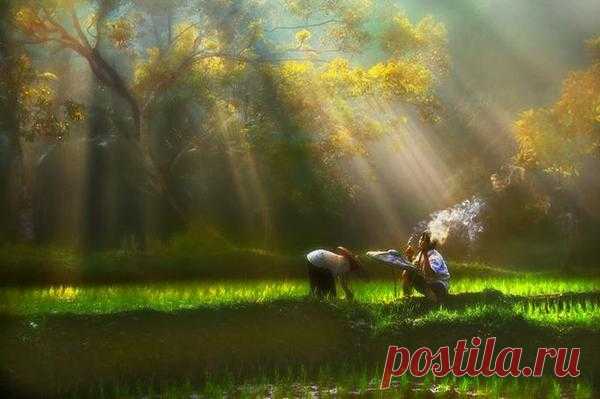 Фотограф Agah Permadi - 13 фото. Фотографии Ольга Дудина.